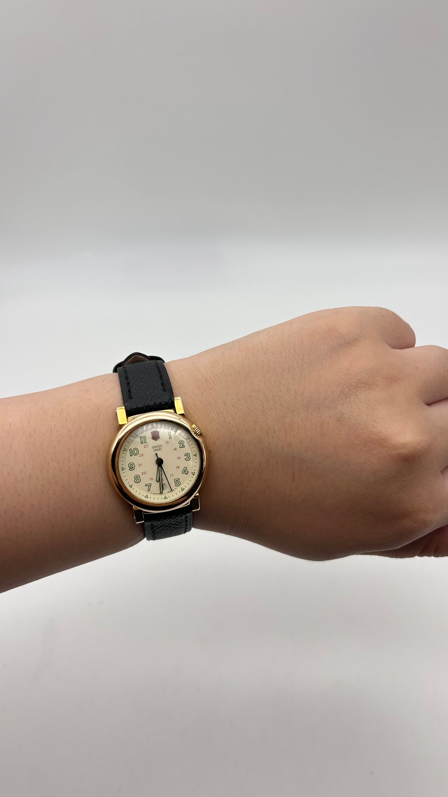 Swiss Army Delta, 28mm size case, 8in size wrist leather band